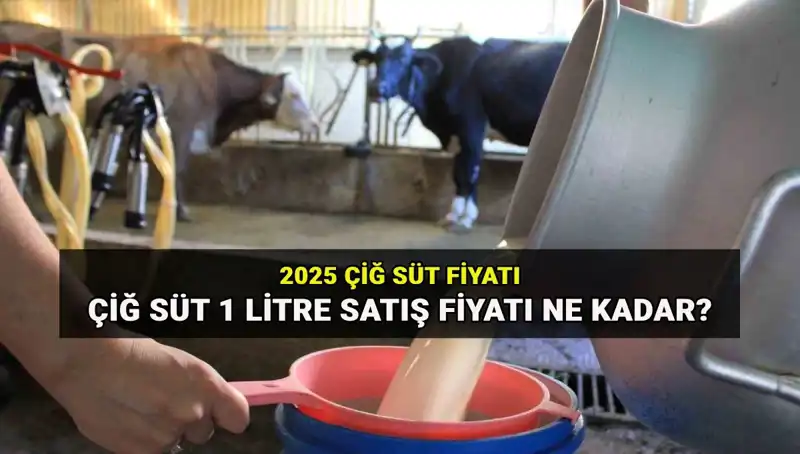 2025 Yılında Çiğ Süt Fiyatları: Ulusal Süt Konseyi'nden Çarpıcı Açıklama