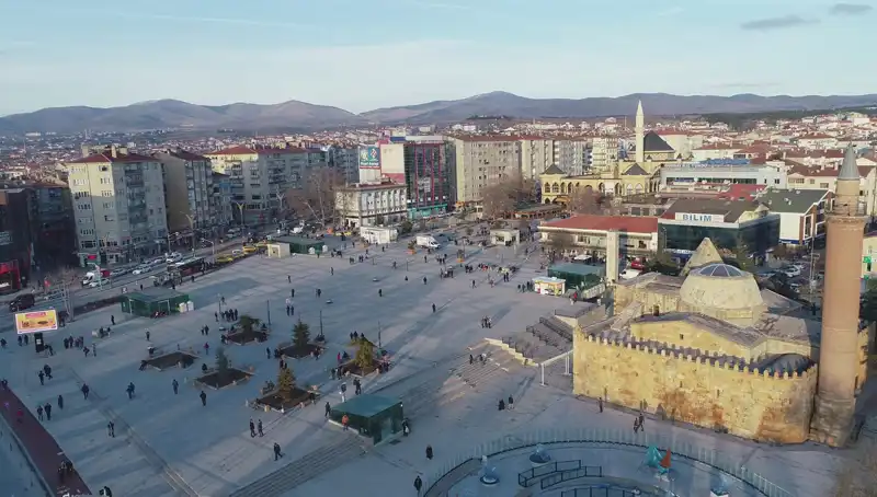 Kırşehir'de Keşfedilen Yeni Böcek Türü Bilim Dünyasını Heyecanlandırıyor