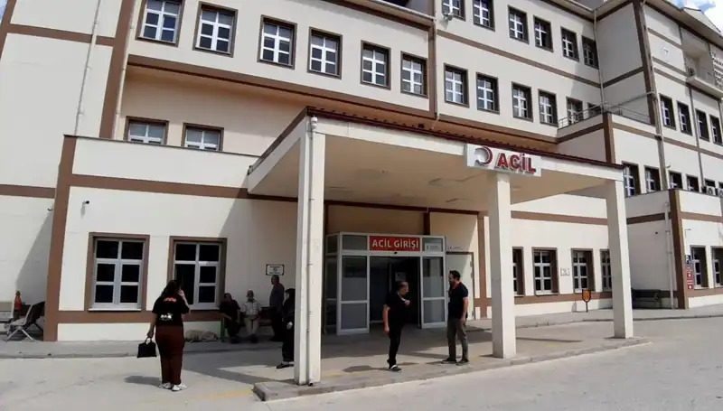 Bolu'da Tartışmalı Ayı Avı Kararı: Koruma mı Yoksa Kontrol Mü?
