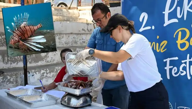 Antalya’da İstilacı Aslan Balığı Avlama Yarışması: Doğanın Korunması İçin Heyecan Verici Mücadele