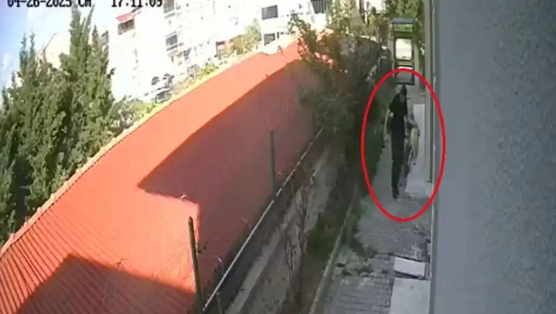 Sahiplendiği Köpekleri Evinin İçinde Katletti: Şok Edici Olay