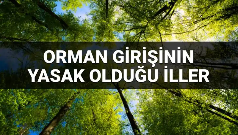 2025'te Ormana Girişin Yasaklandığı İller Listesi Açıklandı!