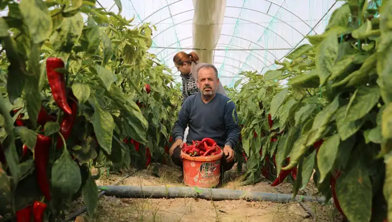 Fiyatlar Uçtu! 50 TL Ürün Şimdi Neden 80 TL?