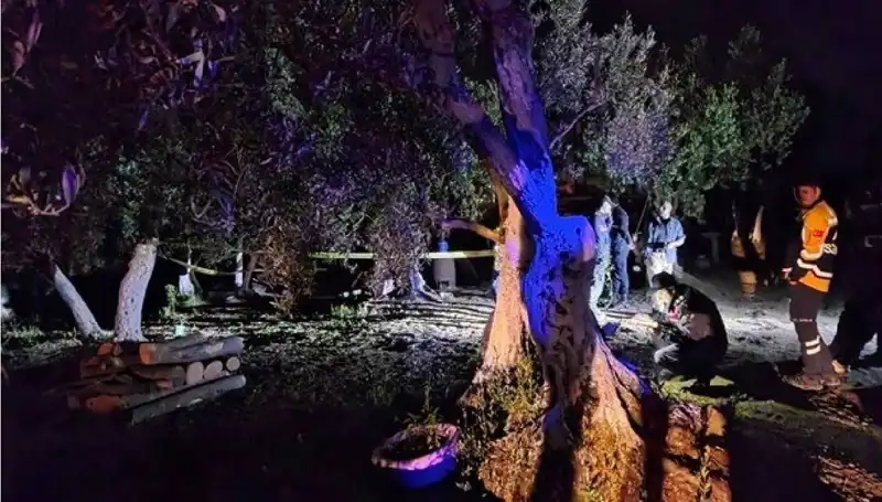 Çiftlikteki Baltalı Vahşet Olayında Şok Tutuklama! Kimdir Bu Çiftlik Sahibi?