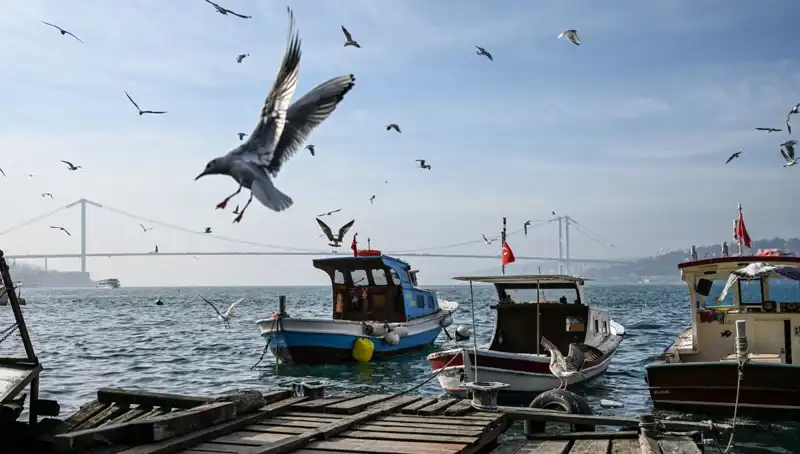 İstanbul'da Baharın Gelişi: Hava Durumu ve Tarih Bilgisi Açıkladı