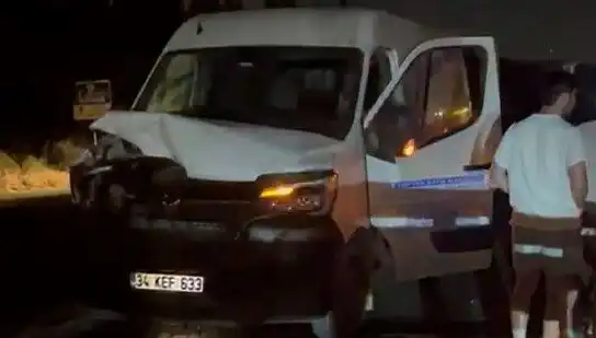 İstanbul'da Manda Kazası: Üç Kişi Yaralandı, Olayın Detayları Şokta