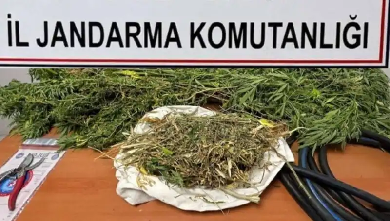 Niğde'de Uyuşturucu Operasyonu: Yüzlerce Çeşitte Madde Ele Geçirildi