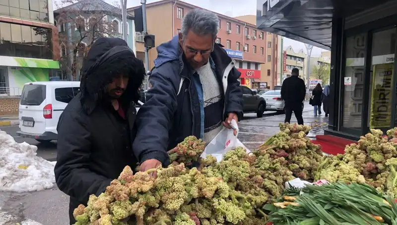 Kendiliğinden Yetişen Bu Bitki, Kanserle Mücadelede Devrim Yaratıyor!