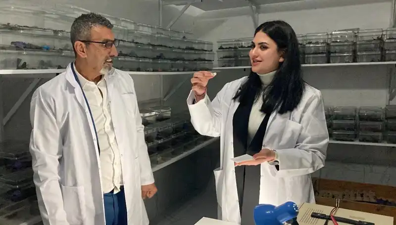 Akrep Zehriyle Şekerin Eşsiz Birleşimi: Çılgın Bir Lezzet Deneyimi
