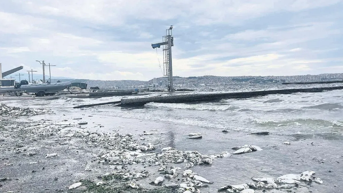 Körfez’in Kokusu İçin Kritik Uyarı: Çevre Kirliliği Tehlikesi Kapıda