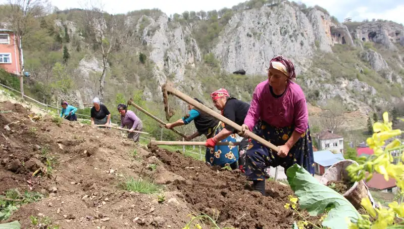 Zorlu Mesai: Sepetler ve Kazmalarla Yeni Bir Mücadele Başlıyor
