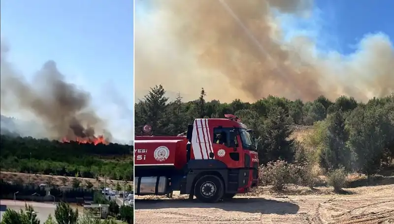 Gebze’de Korkutan Orman Yangını: Vatandaşlar Panik İçinde