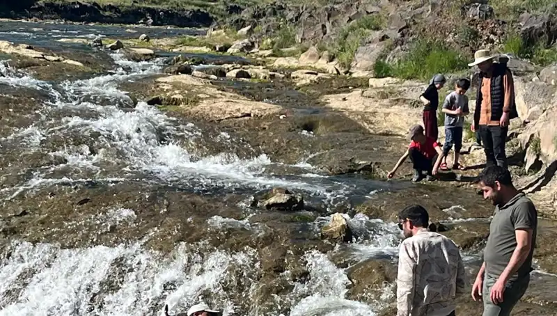 İnci Kefalinin Görkemli Göçü: Turistlerin Yeni Gözdesi Oldu!