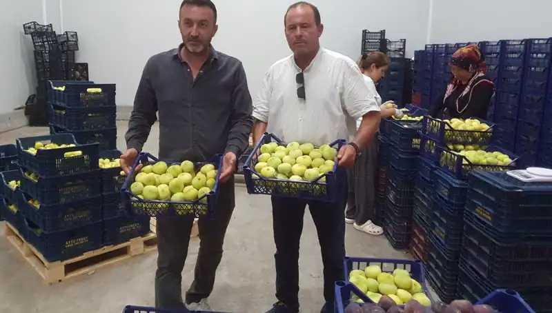 Mersinli Çiftçiler 20 TL Fiyatla İhraç Ediyor: Yüzler Gülüyor!