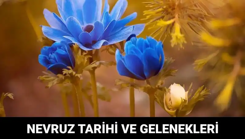 Nevruz Bayramı: Kökenleri ve Günümüzdeki Kutlama Geleneği