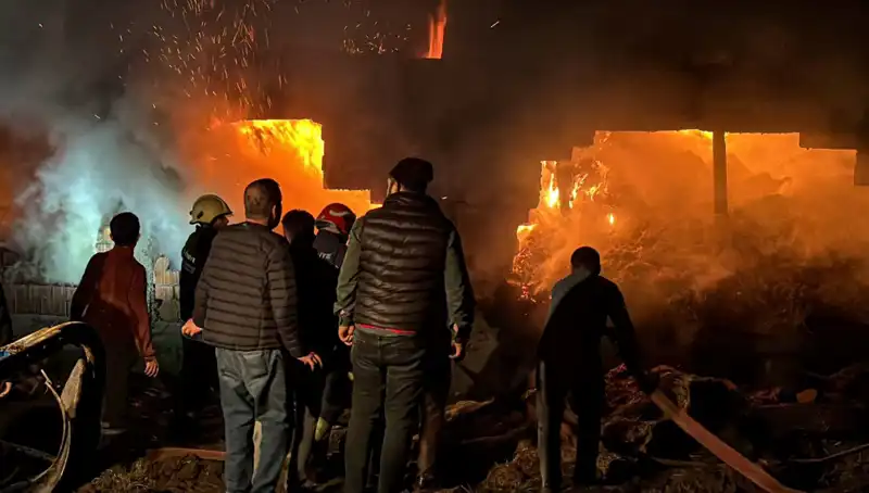 Bolu'da Şok Eden Ahır Yangını: Hayvanlar ve Ekipler Alarmda!