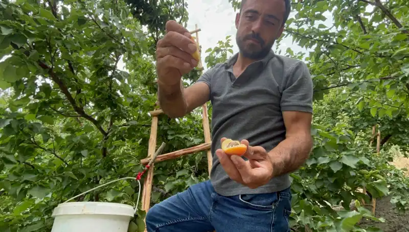 Tadı Damağınızda Kalacak Lezzetin Fiyatı 70 TL'ye Kadar Çıkıyor!