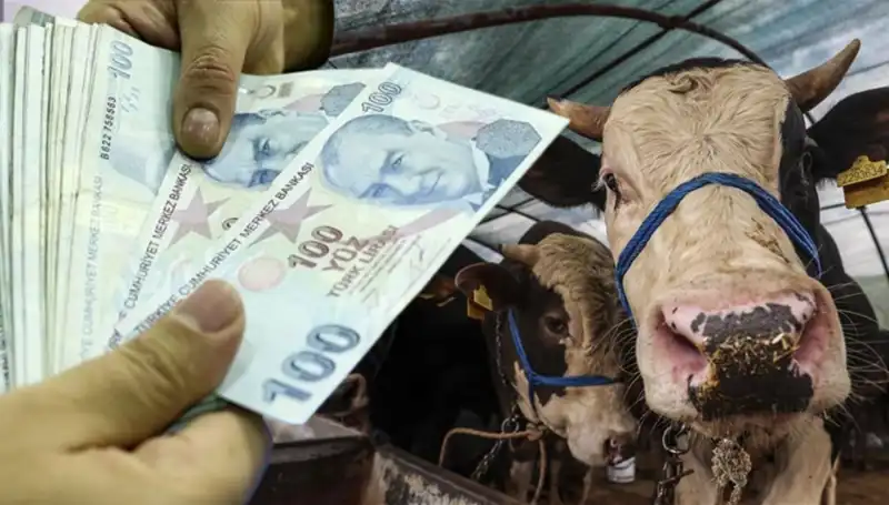 ** Memur ve Emekli Maaşları Bayram Öncesi Yatacak mı? Erken Ödeme Detayları Açıklandı!**