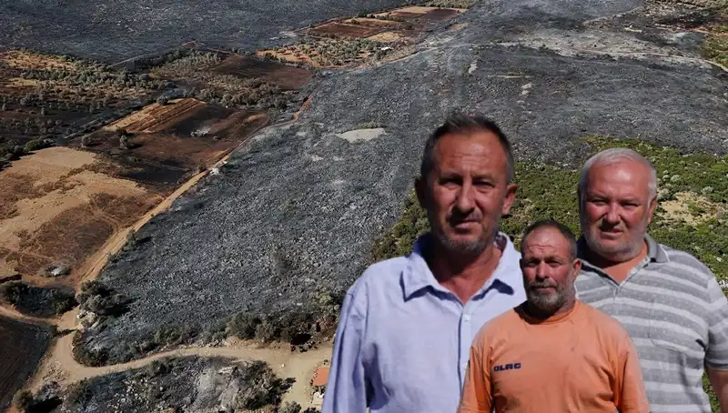 Çeşme'deki Felaket: Yangın Sonrası Yaşananların Detaylı Bilançosu