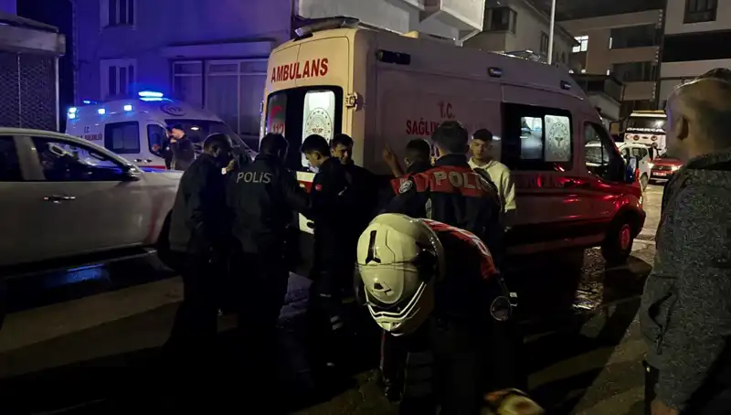Damat Kayınvalidesiyle Tartıştı, Korkunç Olayla Gündeme Geldi