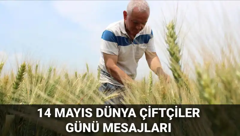 Dünya Çiftçiler Günü 2025: Çiftçilere Özel Anlamlı Mesajlar