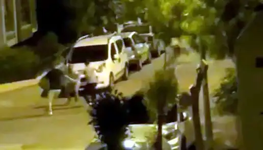 Avcılar'da 3 Kişinin Saldırdığı Adamı Kurtaran Kahramanlar