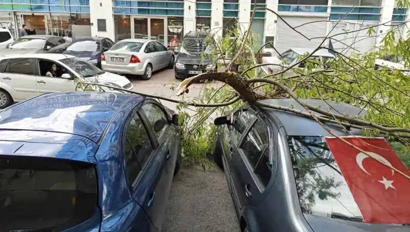 Kayseri'de Fırtına, Ağaçları Kökünden Söktü ve Kenti Sarstı!