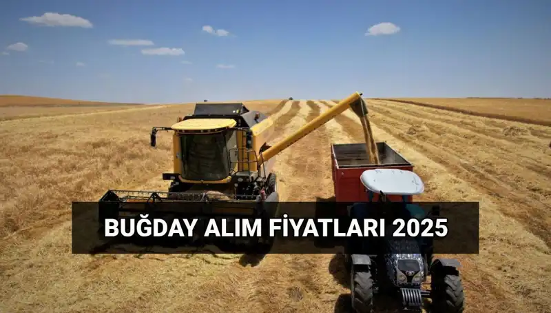 2025'te Hububat Alım Ücretleri Ne Zaman Yatacak? Detaylar Burada!