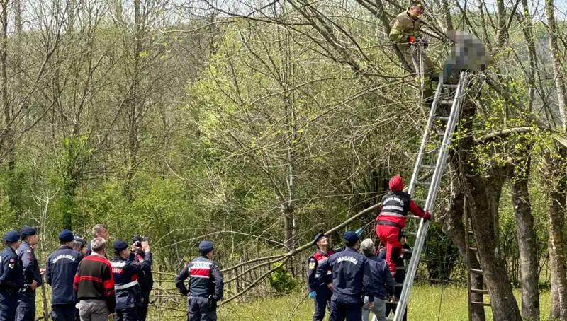 Ağaç Budarken Kalp Krizi Geçiren Adamın Hikayesi Kendini Göstermeye Başladı