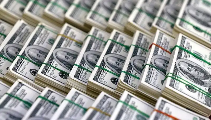 Doların Yükselişi: Ekonomistler Hızla Artan Tehditleri Uyarıyor
