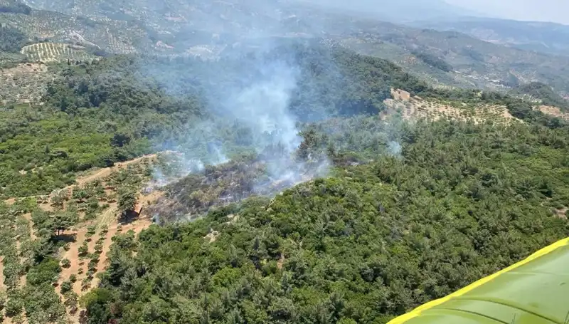 Aydın’da Orman Yangını: Doğanın Kalbiydi, Alevlere Yenik Düştü
