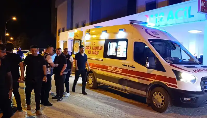 ** Kardeşi Kavga Ederken Hayatını Kaybetti: Olayın Ardındaki Acı Gerçekler