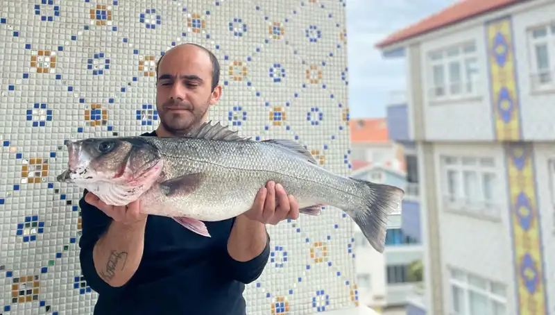 7,5 Kiloluk Dev Levrek: Balıkçının Şansı ve Efsanevi Yakalanma Anı