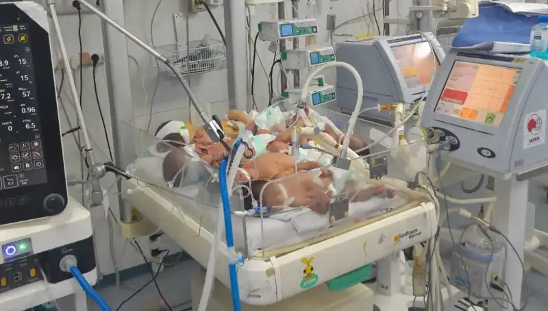 Gazzeli Doktorların Çağrısı: Kuvöz Eksikliği Hayatları Tehlikeye Atıyor