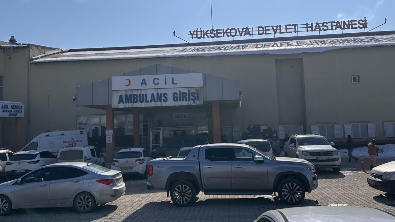 Hakkari'de Başıboş Köpekler Saldırdığı Çocuğu Öldürdü