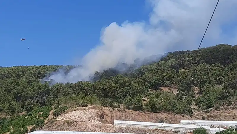 Kumluca'da Orman Yangını Alarmı: Doğa Kayıpları Artıyor!