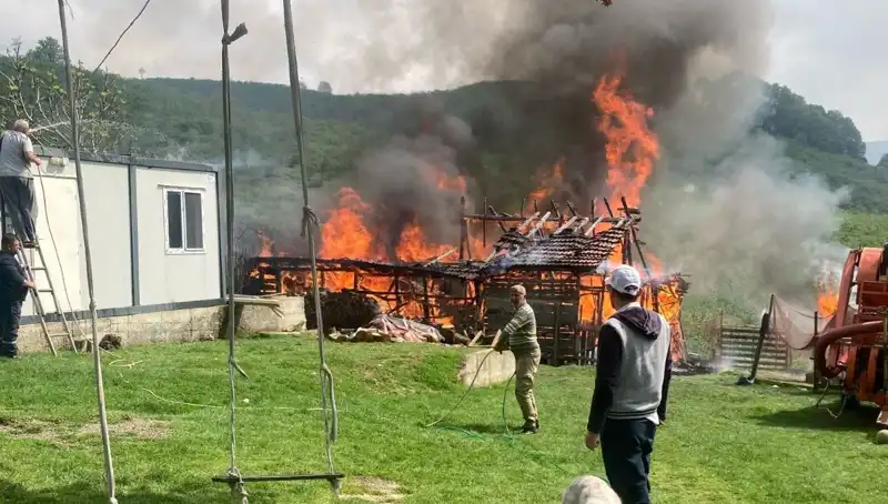 Akçakoca’da Korkutan Yangın! Samanlık Alev Alev Yandı