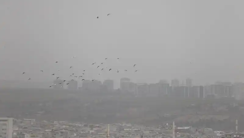 Şanlıurfa'da Toz Bulutu: Nedenleri ve Sağlık Üzerindeki Etkileri