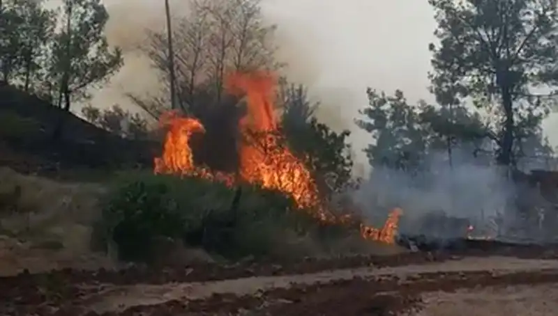 Denizli’deki Orman Yangını: Doğa Katliamı 7 Hektar Alanı Küle Çevirdi