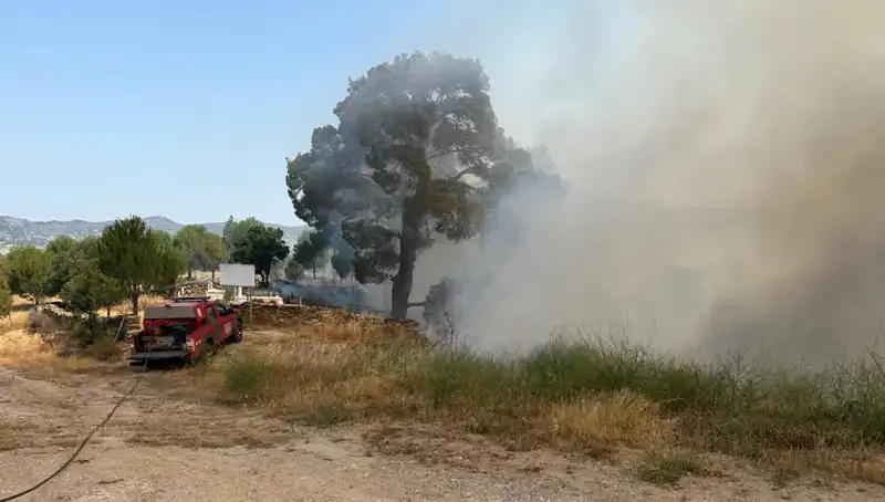 Muğla'da Yangın Alarmı: Orman Alanları Tehlike Altında!