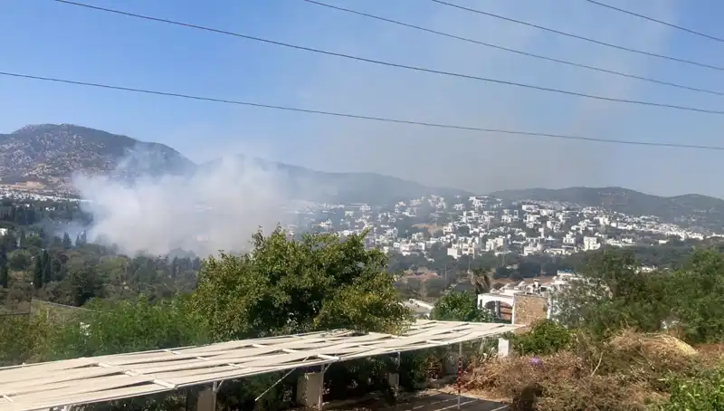 Muğla Orman Yangınlarında Son Durum: Kontrol Altında!