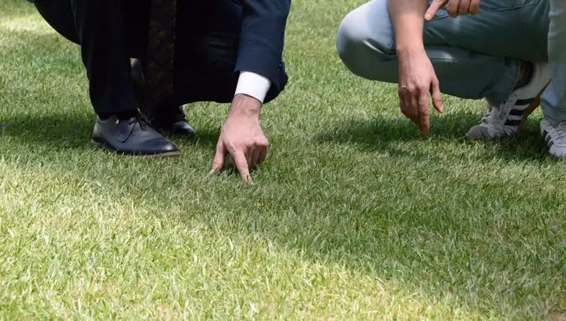 Tartışma Konusu Olan Stadyum Zemininde Son Durum: Gelişmeler Ortaya Çıktı