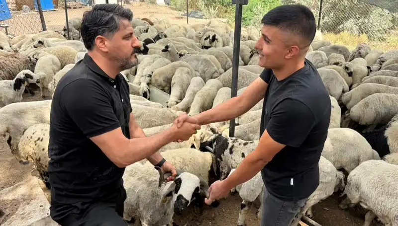 Kurbanlık Alımında Tuz ve Sumak Kandırmacasına Dikkat!