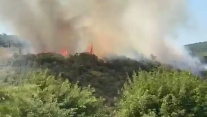 İstanbul’da Orman Yangını: Acil Tahliye ve Tehlikeler Hakkında Bilgilendirme
