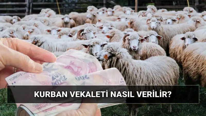 Vekaletle Kurban Kesimi: Diyanet 2025 Ücreti ve Detayları