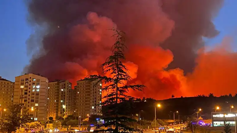 Bursa'da Yangın Felaketi: Yeşil Alanlar Tehlikede!