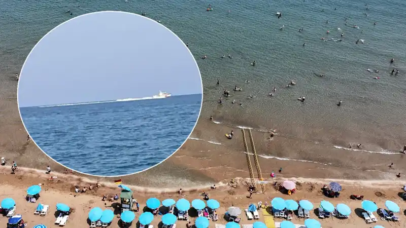 Plajda Köpek Balığı Alarmı: Korku ve Gerçekler Ortaya Çıktı!
