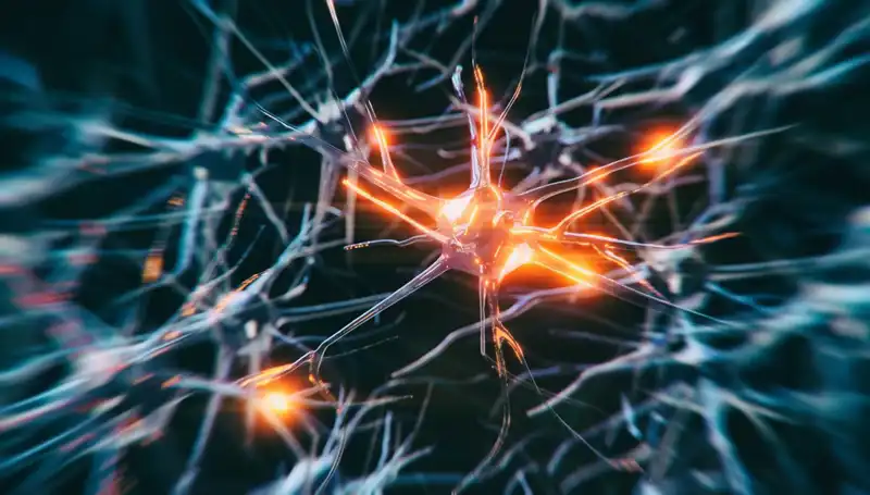 Alzheimer Vakalarının Artışı: Nedenleri ve Çözüm Arayışları