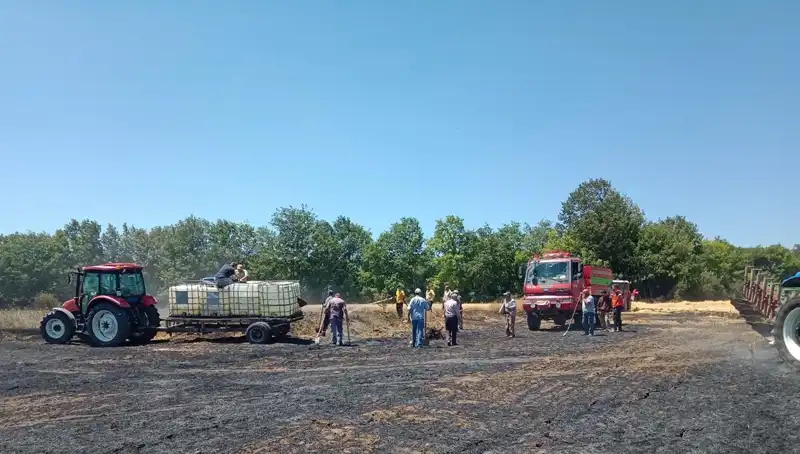 Buğday Tarlasındaki Yangın: 10 Dönüm Zarar Gördü!
