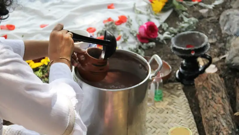 Ayahuasca: Ruhsal Dönüşüm ve Yasal Durumu Üzerine Her Şey